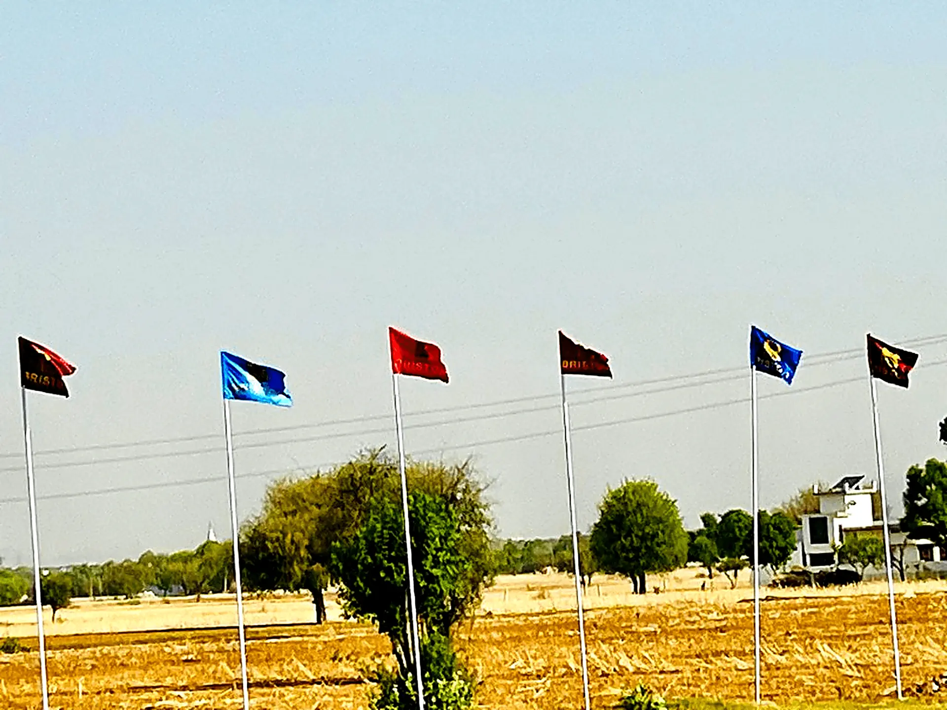 Briston Flag Line Waving in Golden Fields